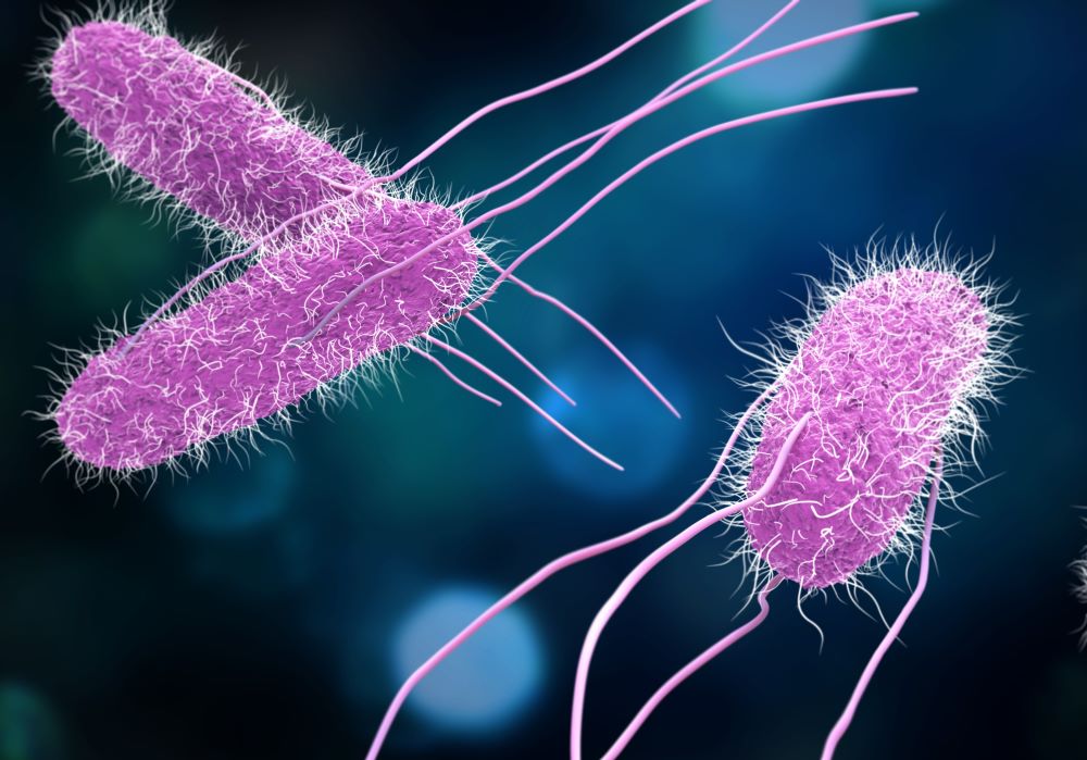 How are we tackling the threat of antibiotic resistance? 🦠

As the UK publishes an AMR Action Plan we look at UKHSA's role in this vital aspect of health security: ukhsa.blog.gov.uk/2024/05/08/wha…

#AMR