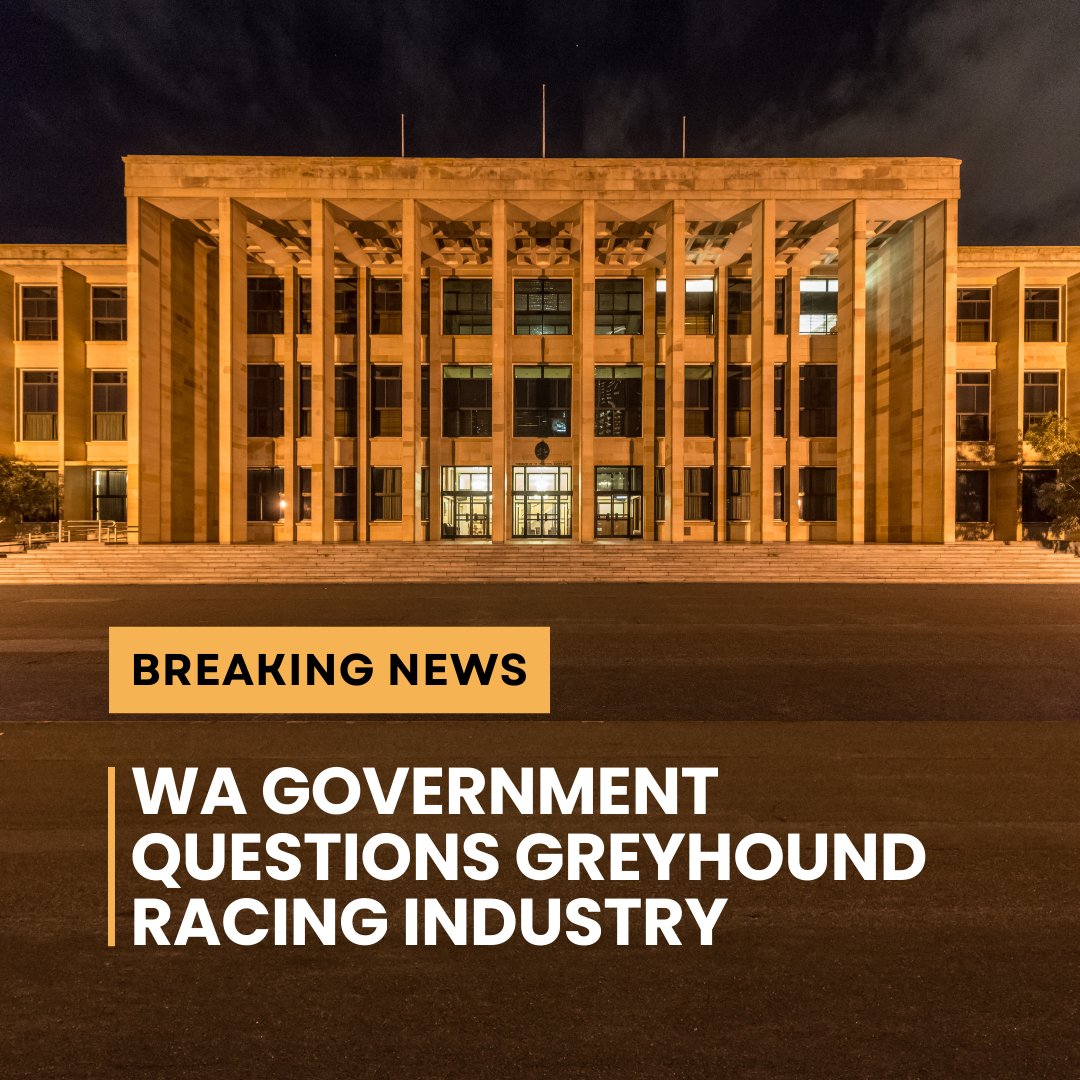 Today the Estimates Committee met with WA Greyhound Racing Association and Racing and Wagering WA with questions relating to greyhound racing practices in WA. Click here for the WAGRA hearing ow.ly/x1Uf50Rzbzv Click here for the RWWA hearing ow.ly/uXAr50Rzbzw