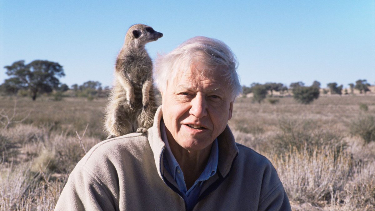 Happy 98th birthday to #SirDavidAttenborough! We are endlessly inspired by the inspiring work you continue to do as we strive for a cleaner, greener earth on which all animals & ecosystems are treated with the respect they deserve

#ASI #WildlifePreservation #WildlifeConservation