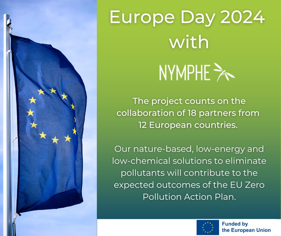 9th May – Europe Day – a celebration of peace and unity in Europe 🌍🤝 We are proud to be part of this dynamic partnership network that promotes development and cooperation at the European level 💚💪 Thank you, Europe! 🇪🇺