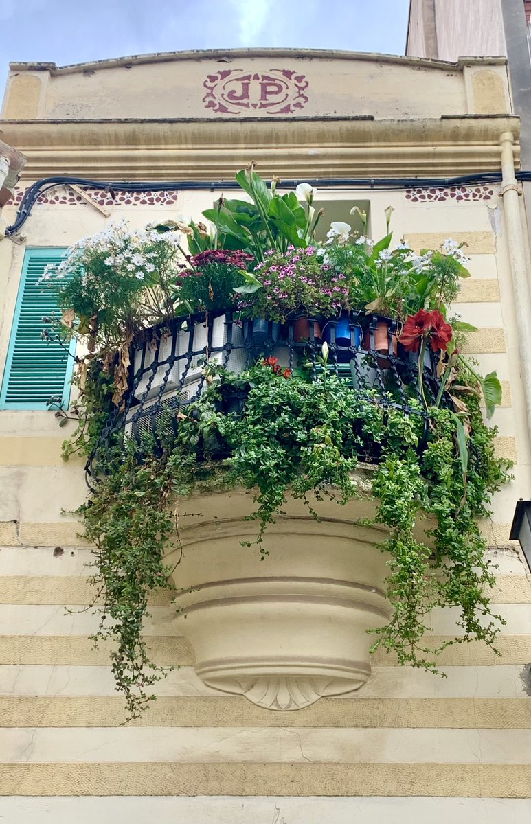 Some memories and ideas from Spanish Balconies last week….😊🌱🇪🇸🪴🥰