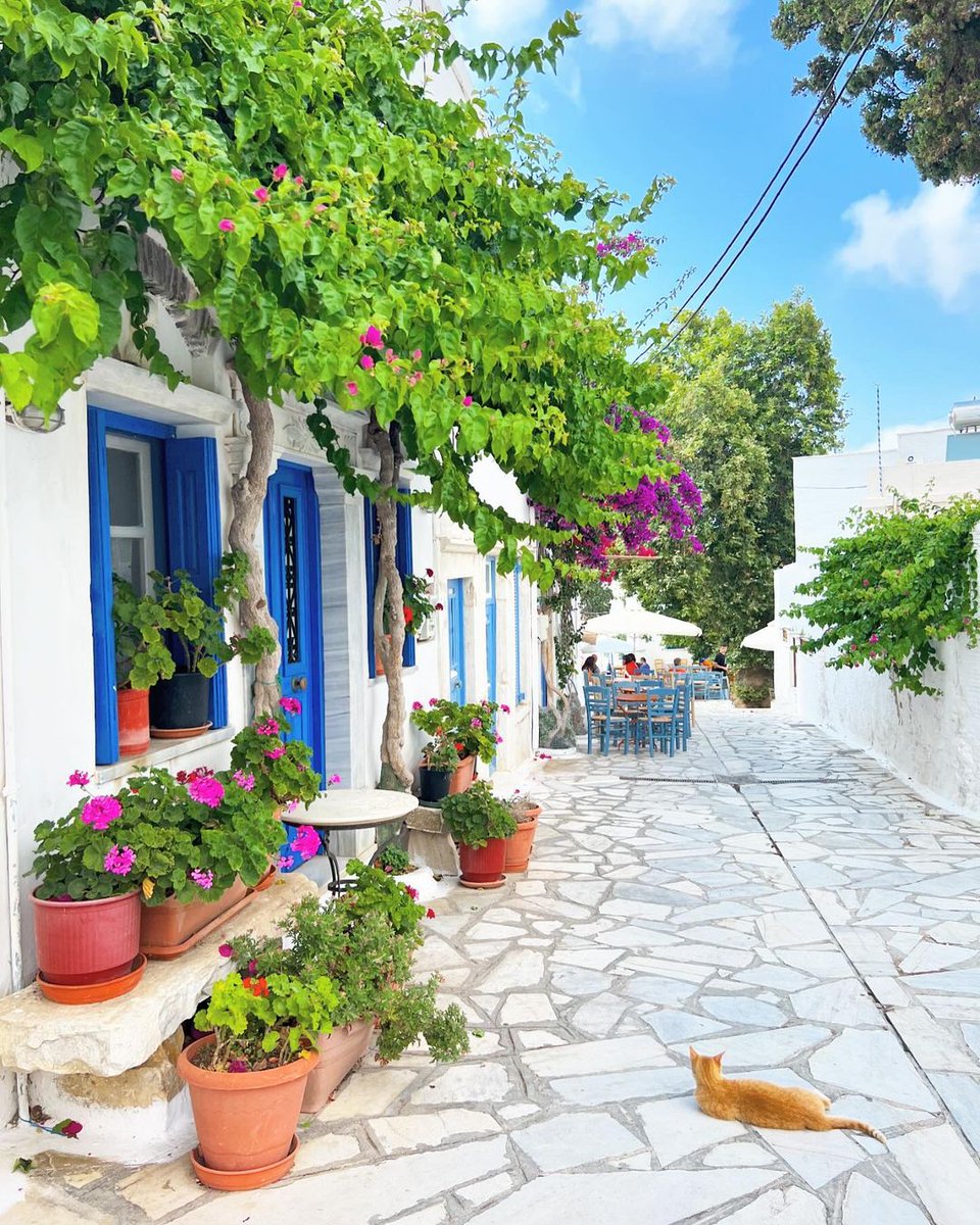The traditional villages of #Tinos make the island stand out among other #Cyclades islands. Exploring the numerous Tinian villages, unveils a world of elegant arches, cobbled paths, chapels, and white houses, joined wall to wall. 🇬🇷 #Pyrgos
📷 cycladeseveryday