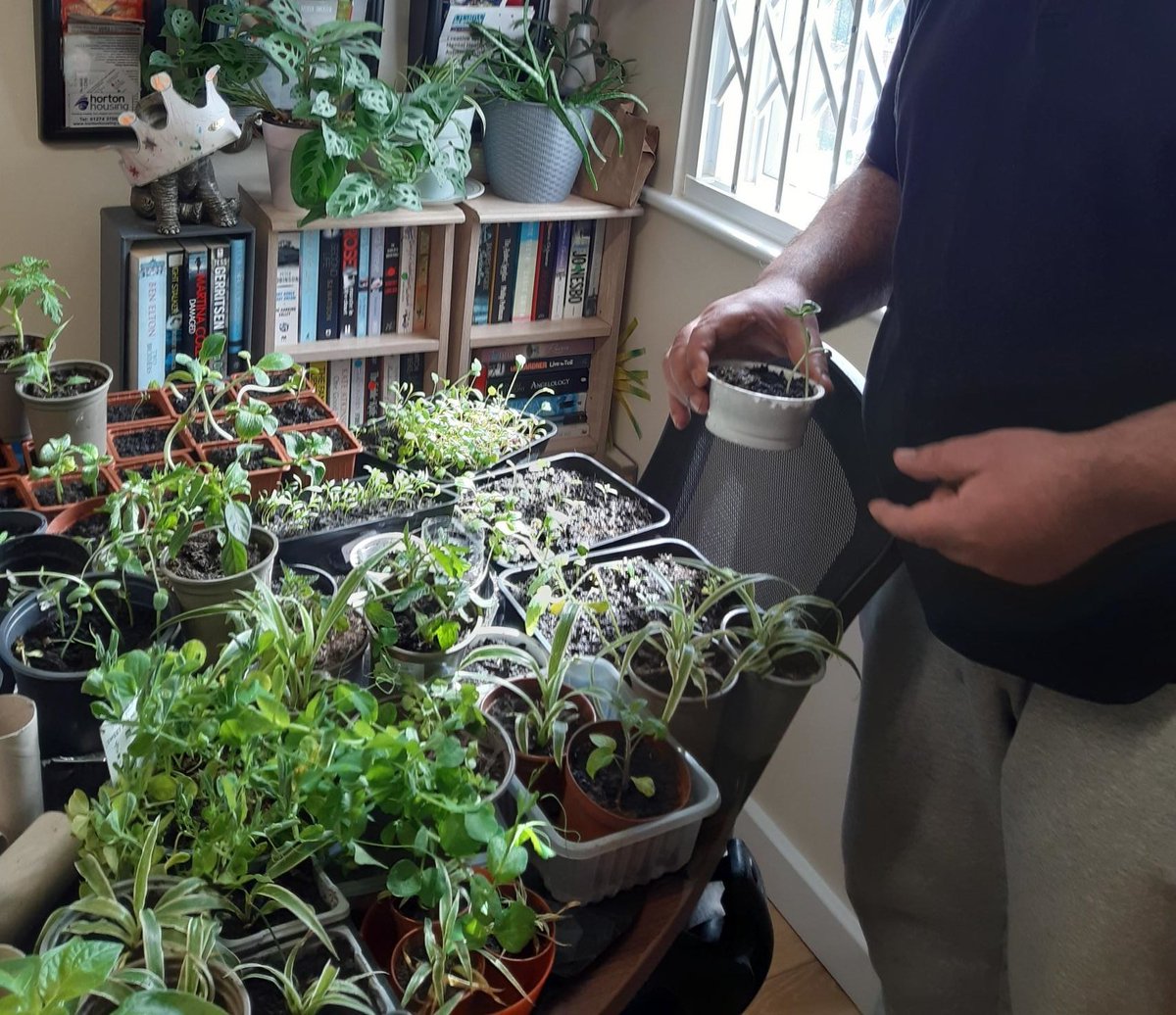 The outdoor spaces at some of our services have sprung to life with the addition of new planters, seeds and flowers 🌻 #gardening #housing #WestYorkshire #spring