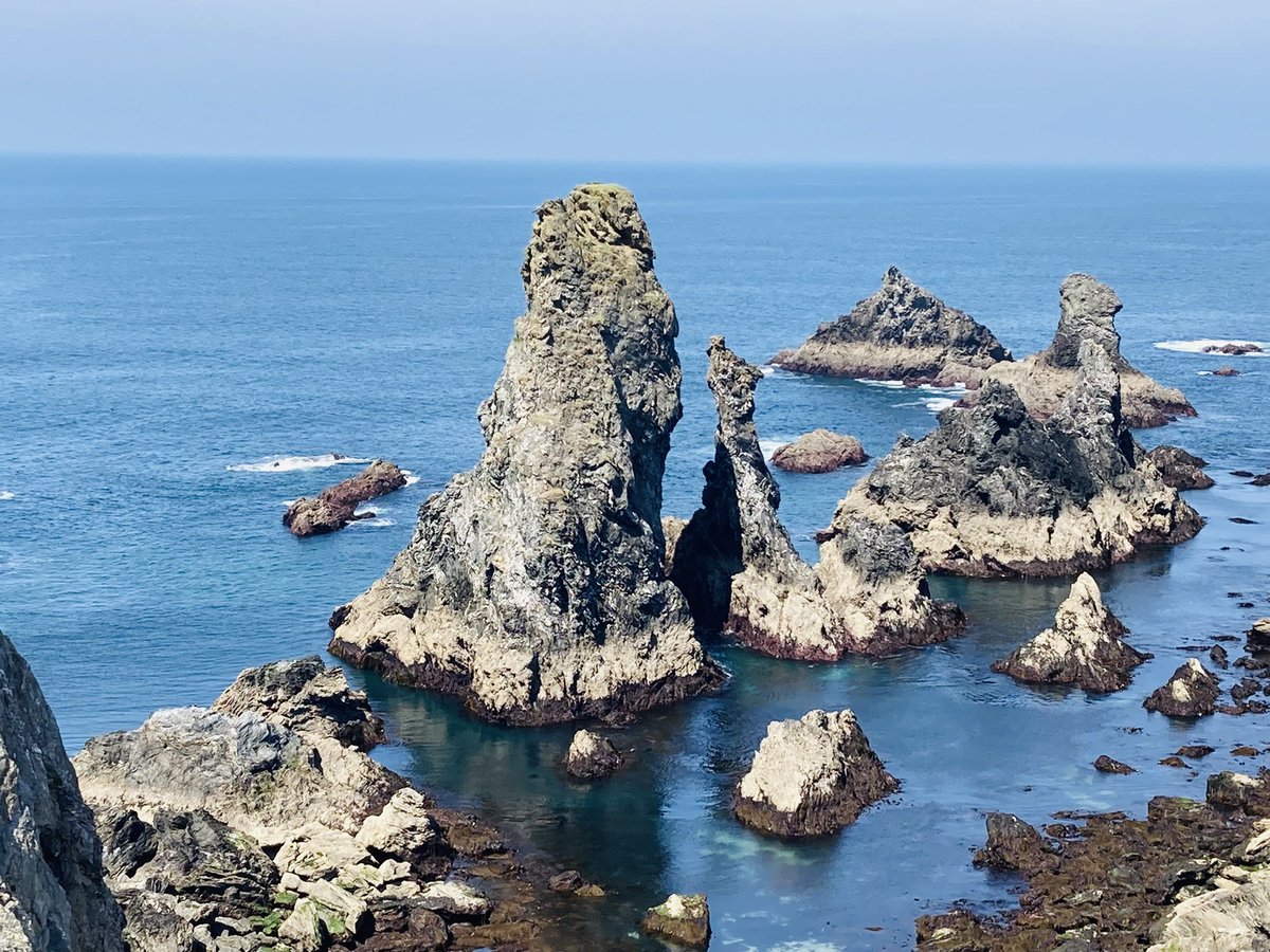 LEMAÎTRE Céline tweet media