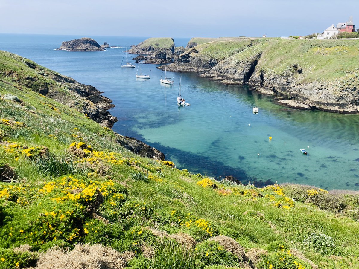 LEMAÎTRE Céline tweet media