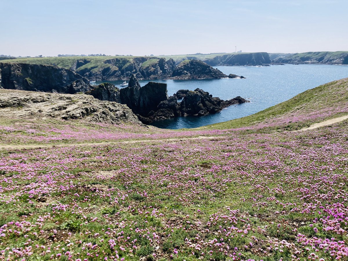 LEMAÎTRE Céline tweet media