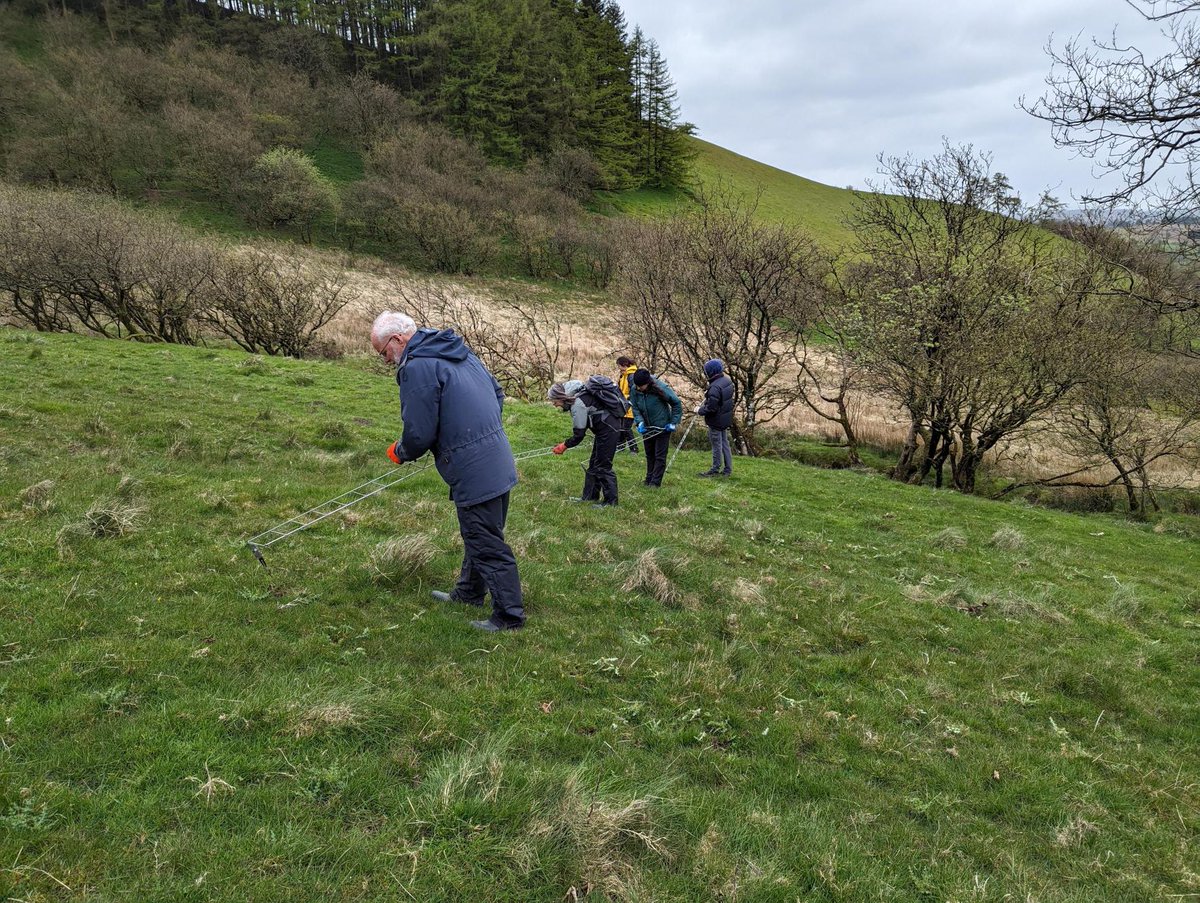 Recently, our new assistant reserves officer Tam led a fruit tree pruning workshop at Tylcau Hill. Meanwhile, volunteers tackled encroaching creeping thistle in our meadows 🌼 #ConservationWork #TeamEffort