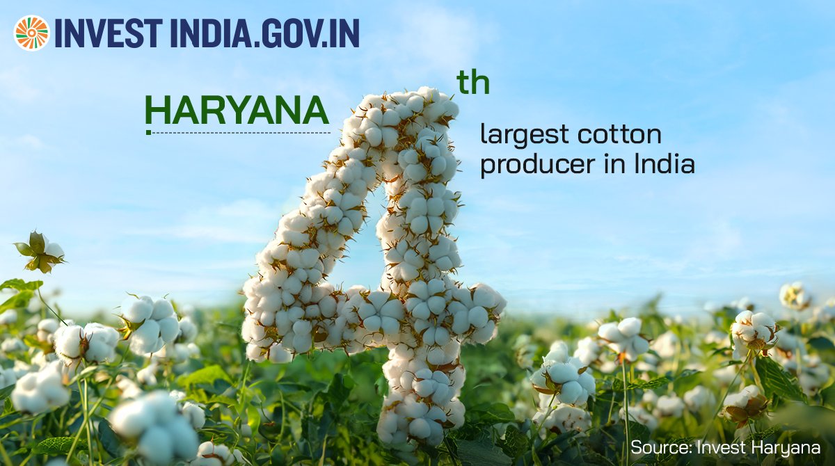 #Haryana's easy access to vast raw material presents a compelling advantage for investors eyeing the #textilessector, promising unparalleled opportunities for success.

Discover more: bit.ly/II-Haryana

#InvestInHaryana #InvestInIndia #InvestIndia #Cotton #CottonProducer