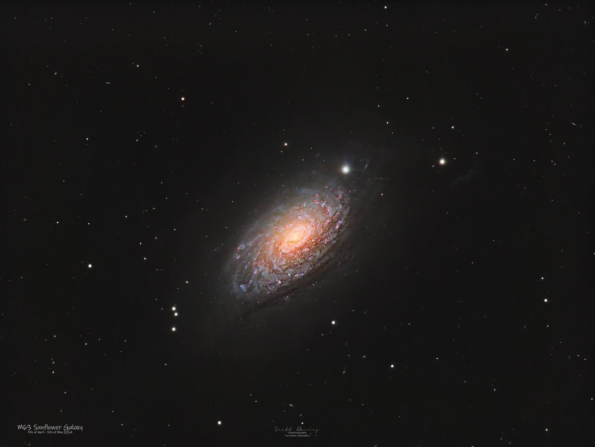 This is my Spring Galaxy season 2024. Been a struggle with the weather but I'm pleased with these 😊 #astrophotography