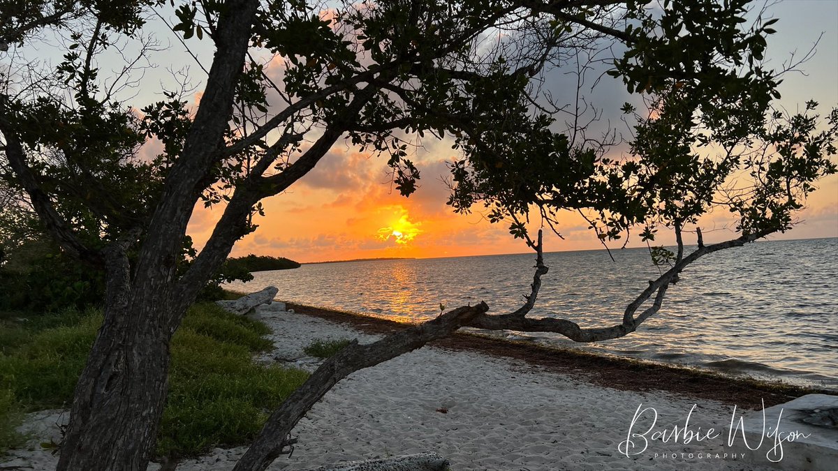 Got my toes in the sand watching this #keywest #sunrise So pretty!!! Good morning and #happyhumpday