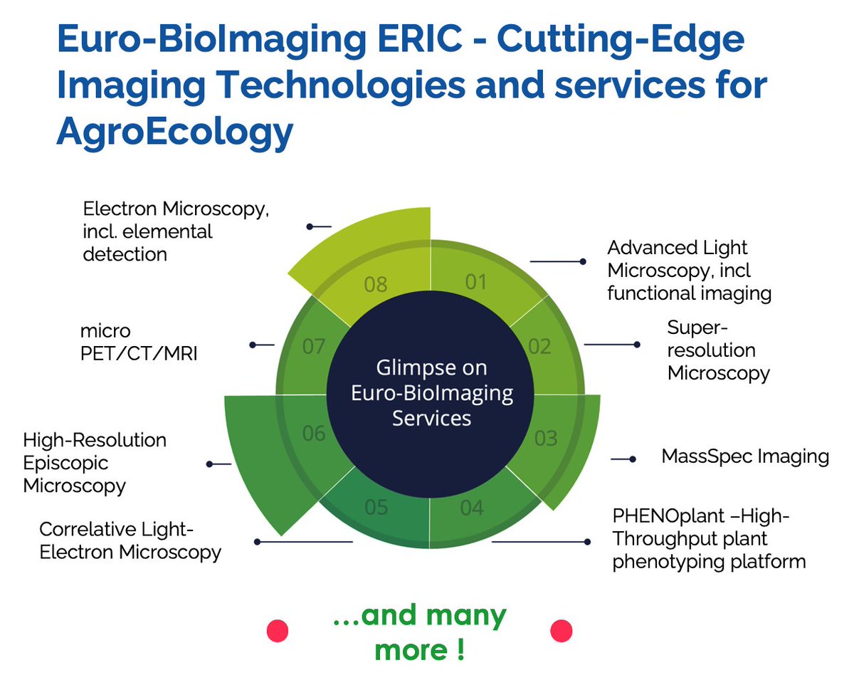 Are you looking to get FREE #access to use @EuroBioImaging cutting-edge #imaging #technologies and #services in #plant #biology and related fields ? well it's possible ! @AgroServEU 2nd call will launch soon ! register your interest via link below ⤵️ shorturl.at/astCY