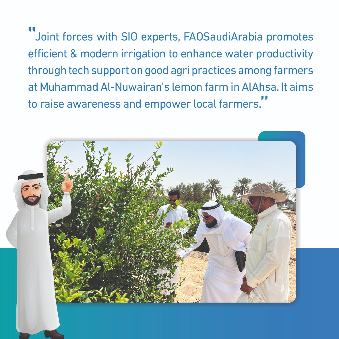 With @SIO experts, @FAOSaudiArabia promotes efficient and modern #irrigation to enhance water productivity through good agri practices among farmers at Muhammad Al-Nuwairan's lemon farm in #AlAhsa. It aims to raise awareness and empower local farmers. #WaterForSharedProsperity