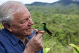 Happy 98th Birthday to Sir David Attenborough born on Isleworth, London on this day in 1926 #DavidAttenborough #HappyBirthday #Minimiseourhumanfootprint