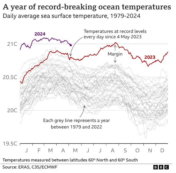 2024 daily ocean temperatures are trending higher than record heating in 2023
#ClimateCrisis is worsening
#NoPlanetB

@OrbPlanet @Living4Earth @ECOWARRIORSS @AnthropoceneM @WeDontHaveTime @Below2C_