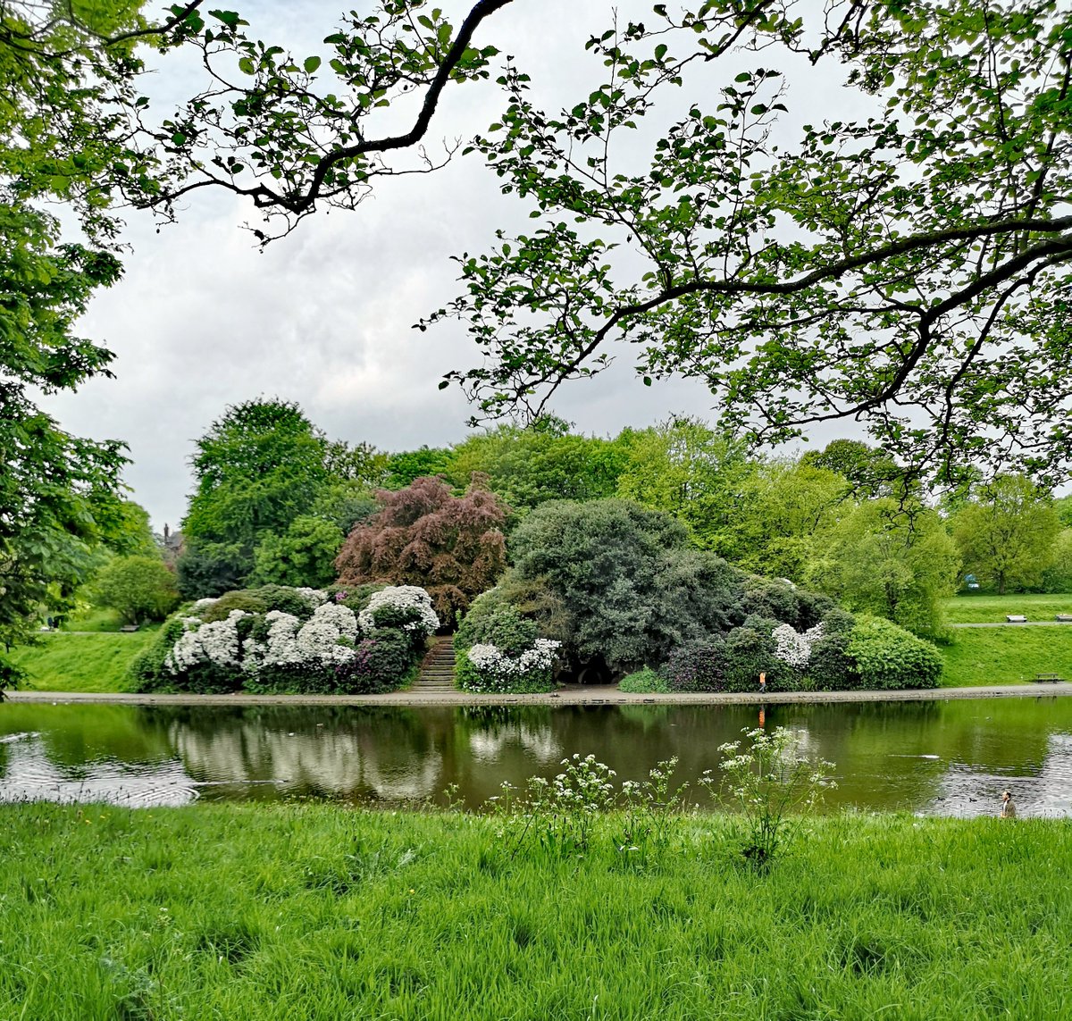 Beautiful Sefton Park