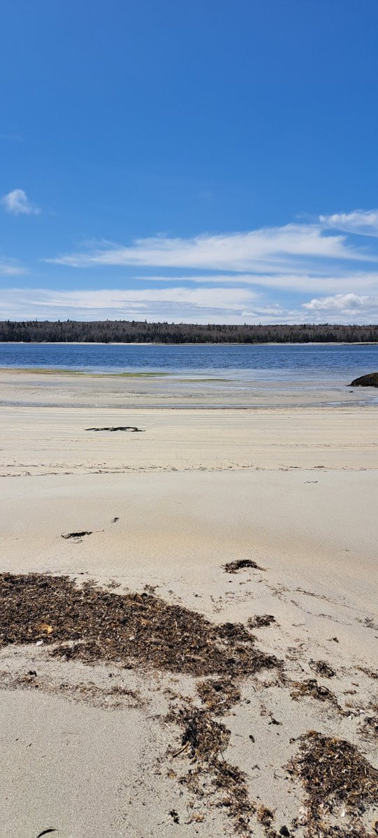 Went to the beach. It's been a few months, to long.