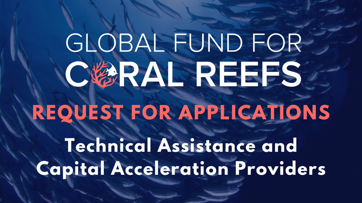 🗣️#GFCR launches Request for Applications: Flexible Technical Assistance and Capital Acceleration Providers to support greater investment in conservation and foster sustainable reef-positive initiatives. 📅 Deadline 3 June 2024 🔗 Learn more: globalfundcoralreefs.org/news/rfa-techn…
