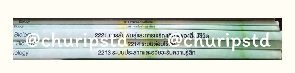 churipstd's tweet image. ส่งต่อหนังสือชีวะพี่วิเวียน Ondemand แพ็คระบบร่างกายมนุษย์ ม.6 เทอม 1 
เล่มละ 129 บาทรวมส่ง / เหมา 5 เล่ม 370 บาทส่งฟรี 
รายละเอียดเพิ่มเติม dm ได้เลยค่า   
#ส่งต่อหนังสือมือสอง #ส่งต่อหนังสือเรียน #ส่งต่อหนังสือมือสองสภาพดี #ส่งต่อคอร์สเรียน #dek67 #dek68 #dek69 #ALevel
