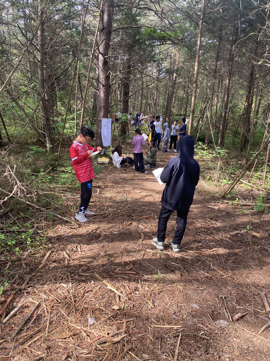 The 4th grade scholars @CardinalRidgeES enjoyed their last Peterson Field guide experience as they hiked on the new nature trail at school. The focus was to find something in nature they could sketch and then reflect and write about it. 🐛 🌲 🕷️ @LCPSScience #outdoorlearning