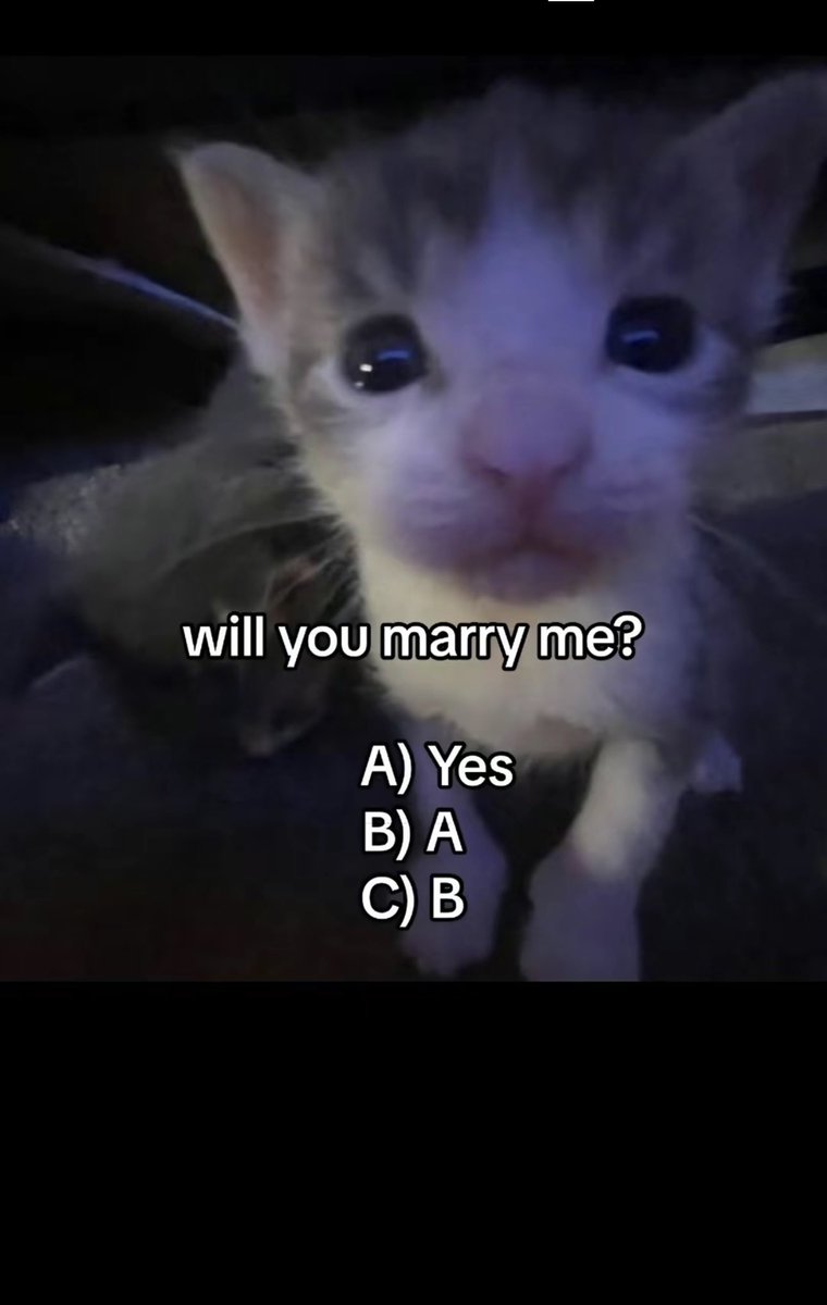 Ha ?