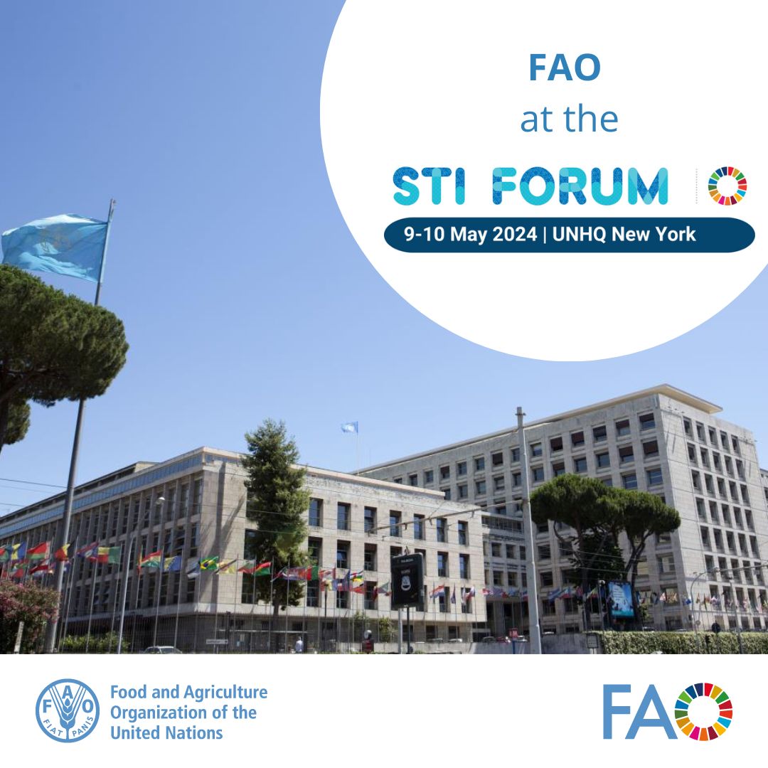 📢 Starting tomorrow is the 9th Multi-stakeholder Forum on Science, Technology and Innovation for the #SDGs! @FAO will be speaking at and organizing several side-events, contributing to the review of SDGs, focusing on #STI. 👉 Find out more: fao.org/new-york/event… #Tech4SDGs