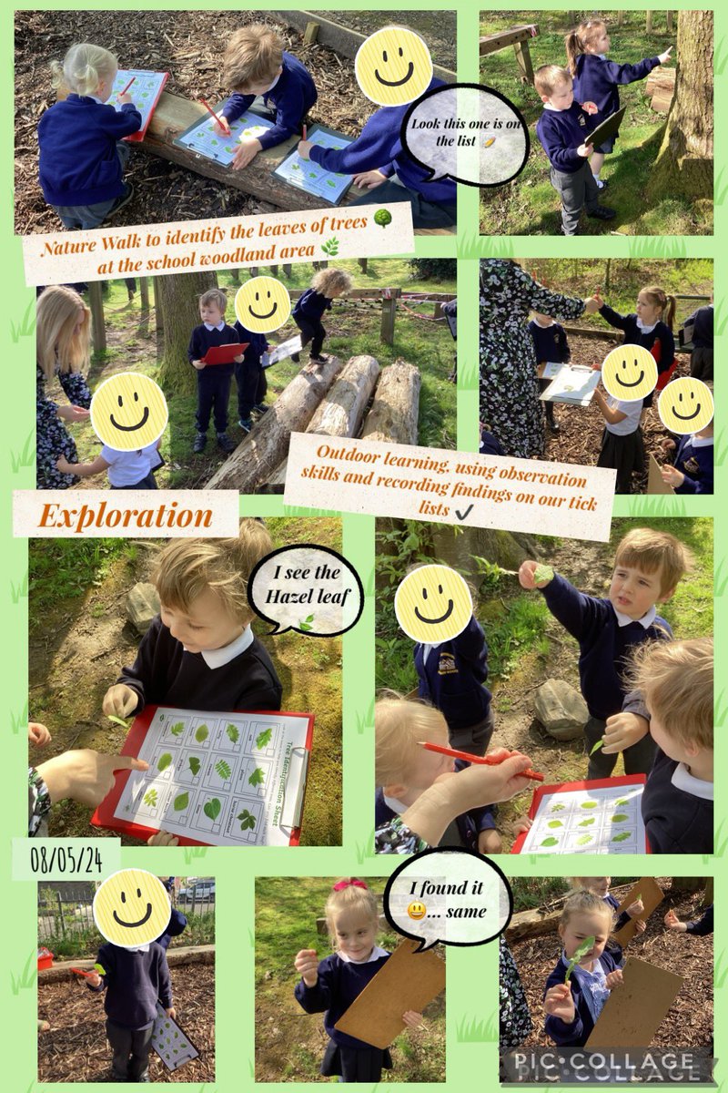 Outdoor Learning in Dosbath Enfys, we went to the woodland area on a Nature Walk 🌳🍃🌿identifying which leaves belonged to which trees and recording our findings on a checklist ✔️ #ethicallyinformedcitizens #HEADMPS