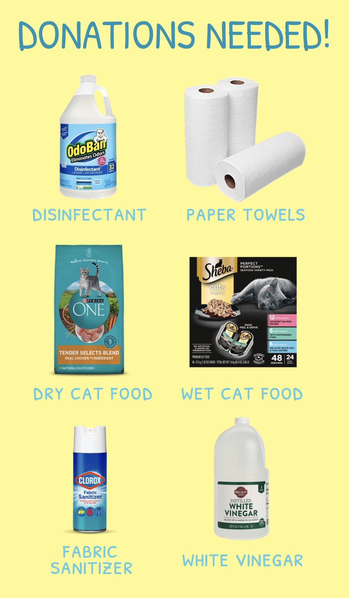 thehumanebean's tweet photo. #HeyAkron!
Come see us on Saturday, May 11 at the Rootie Tootie Motherโs Day Plant Show!
We will be meeting the community and collecting donations for our fosters and Akron cat caretakers in need.๐
See you there!๐ฟ๐พ https://t.co/jPe5WIdA0s