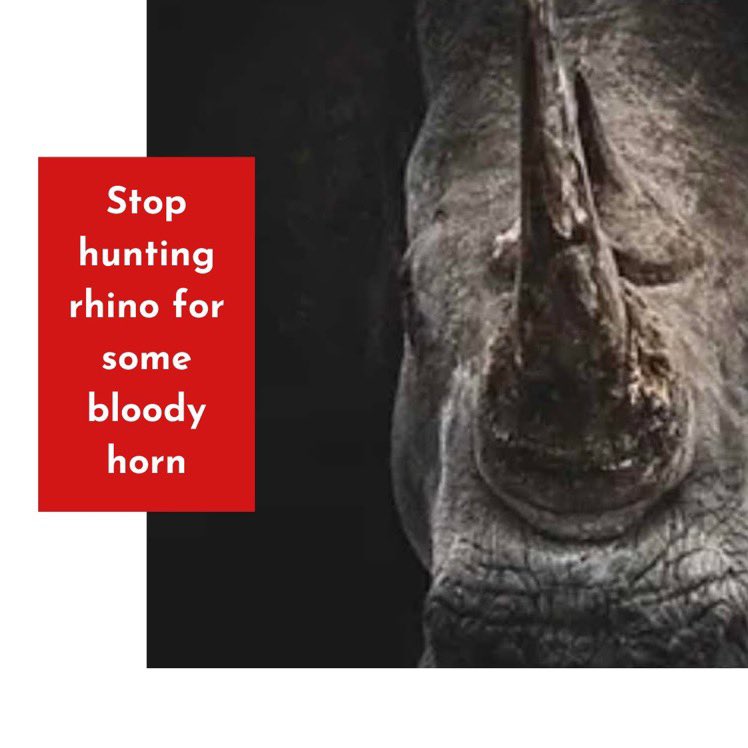 Protecting animals from poaching is critical as rhinos and elephants are being hunted at an alarming rate, pushing them towards extinction. Without swift action, these majestic creatures could disappear from our planet forever. Conservation efforts, law enforcement, and…