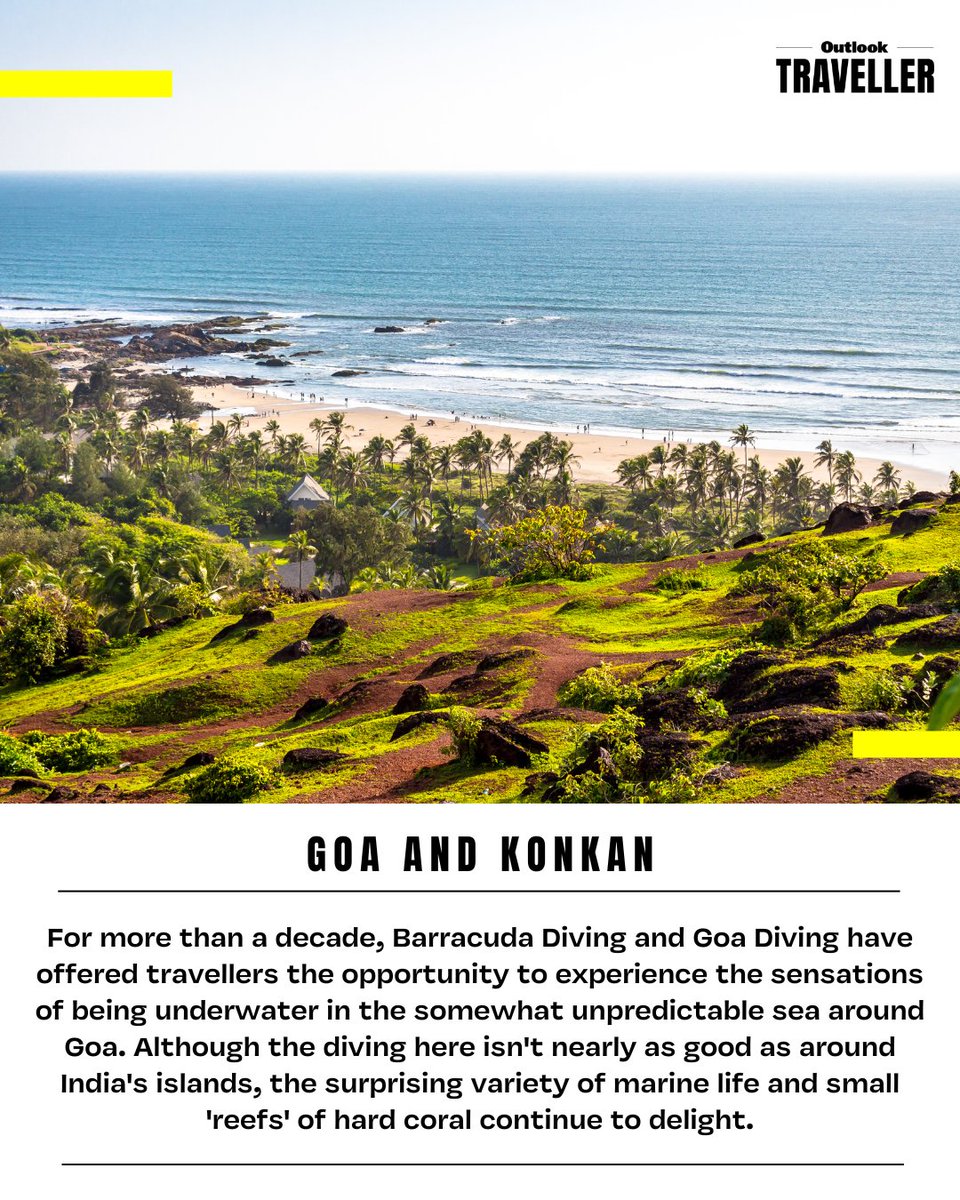 Dive into the depths of the underwater wonders of India.🏊‍♀️☀️🕶

➡️From the vibrant coral reefs of Goa to the pristine waters of Lakshadweep, swipe through our gallery and explore some must-visit diving spots perfect for beating the heat.🌊🐟

#OutlookTraveller #TravelGuide