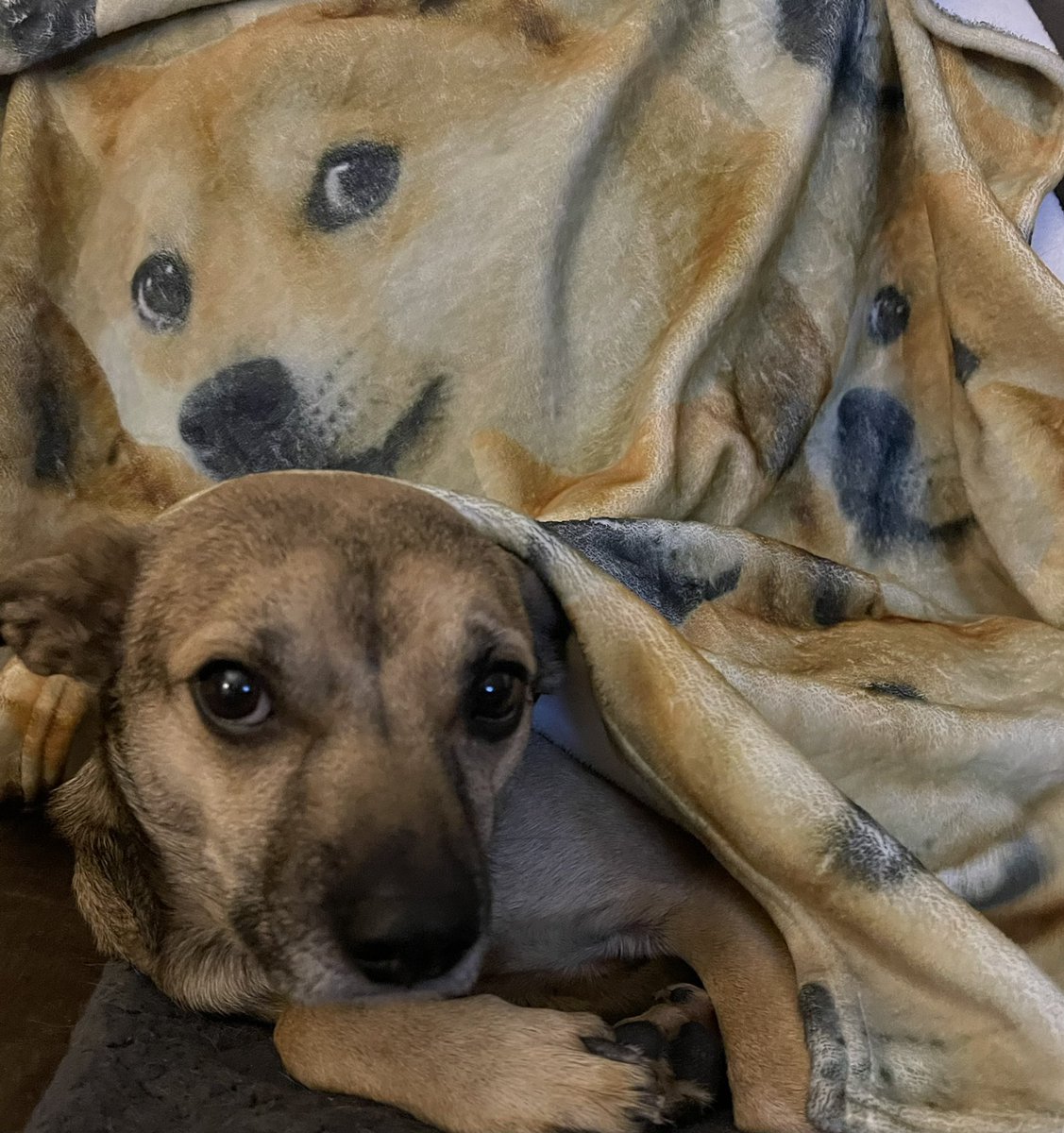 Holly Jackel ~ Đ ~ tweet media