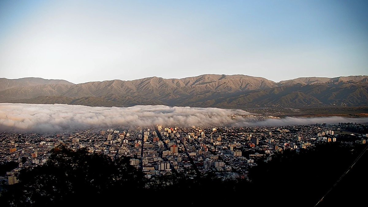 Guillo Kripper tweet media