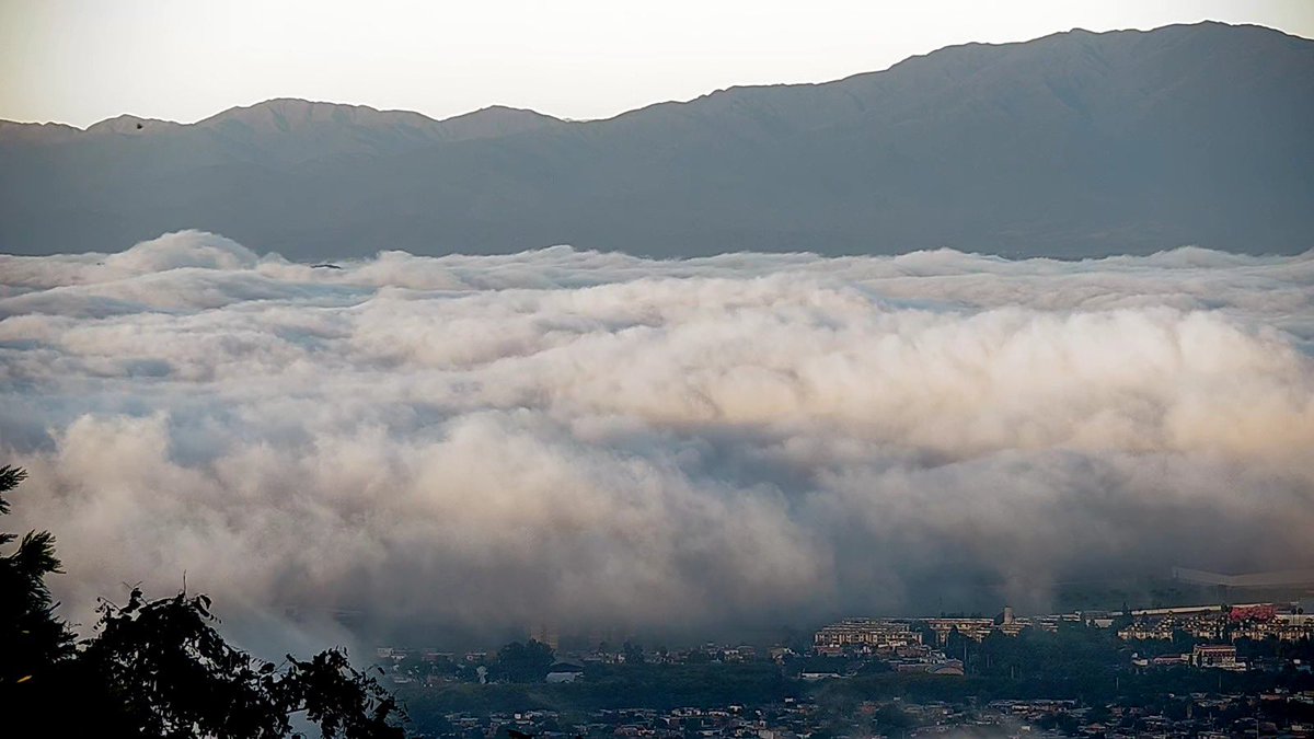 Guillo Kripper tweet media