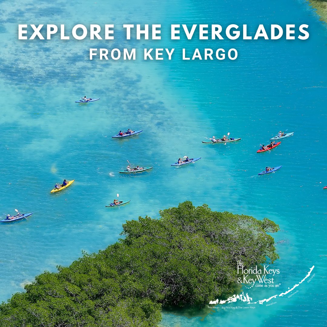 Did you know that Key Largo is flanked by Everglades National Park to the west, a premier destination for kayakers, birders, and anglers? From Key Largo, you can take a kayak tour through the mangroves to see all the wildlife.

#FloridaKeys #holidays #travelideas #bucketlist