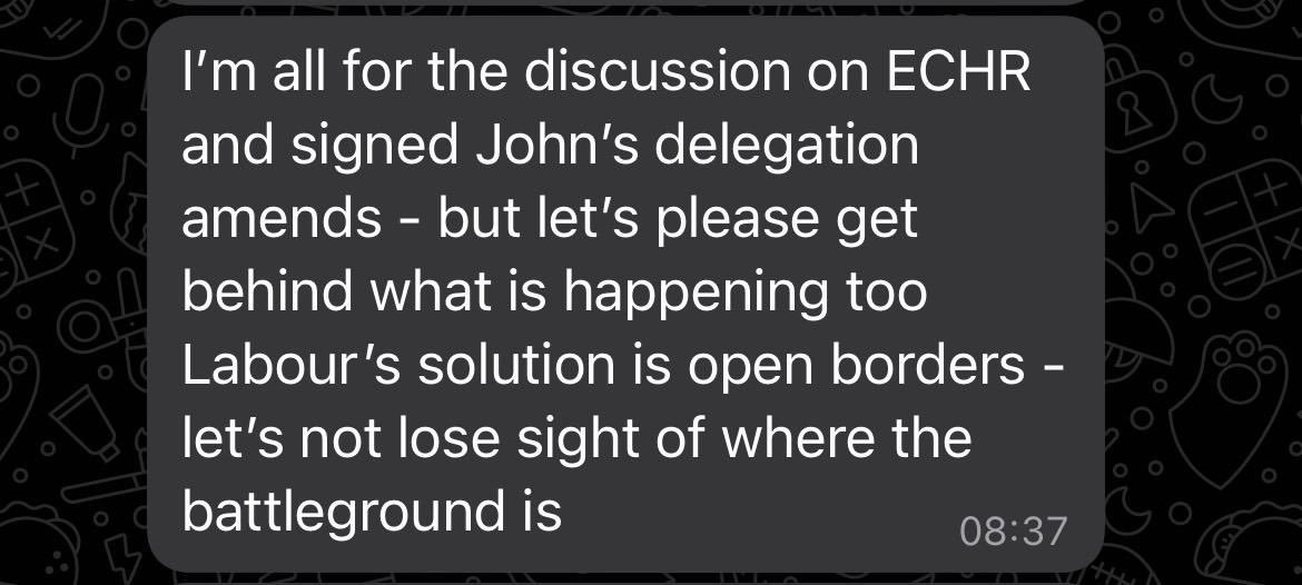 Natalie Elphicke in a Tory WhatsApp last year. “Labour’s solution is open borders”