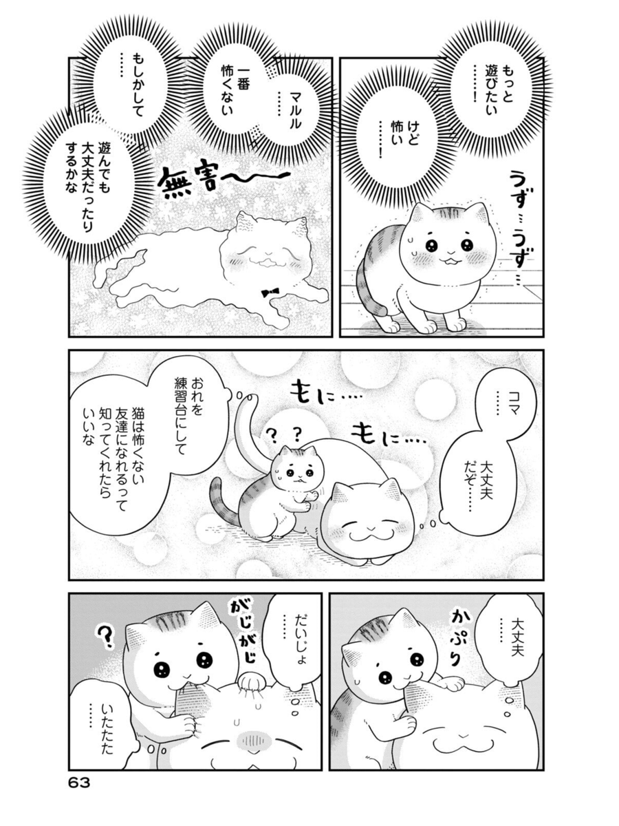 ビビリの保護猫が意外な猫に懐いた話(1/5) 