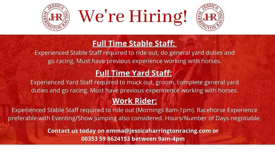 🚨 We’re Hiring 🚨
Join the team at Jessica Harrington Racing now!! 
🔎 We are looking for experienced, hard working individuals to join our classic winning team! 
☎️ Get in touch to apply
#irishracingjobs #jobfairy