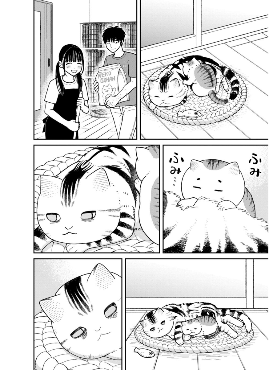 ビビリの保護猫が意外な猫に懐いた話(3/5) 