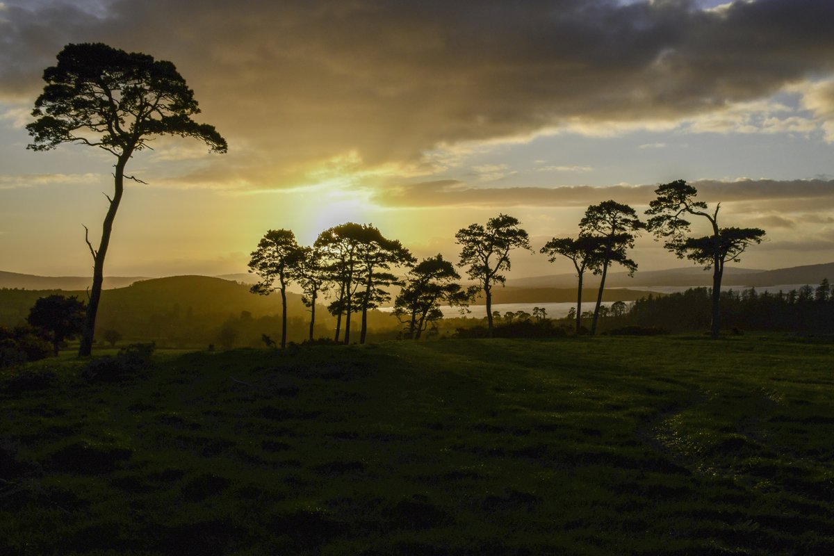 The Artists Showcase is coming back again for 2024! Throughout this year's festival, work by local artists &amp; photographers will be on display (and available for sale!) in St. Flannan's Cathedral.

killaloemusicfestival.com