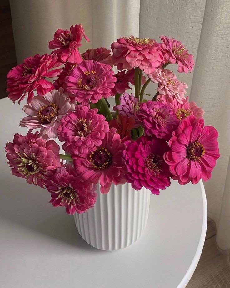 just Flowers (@just_flowers_11) on Twitter photo 