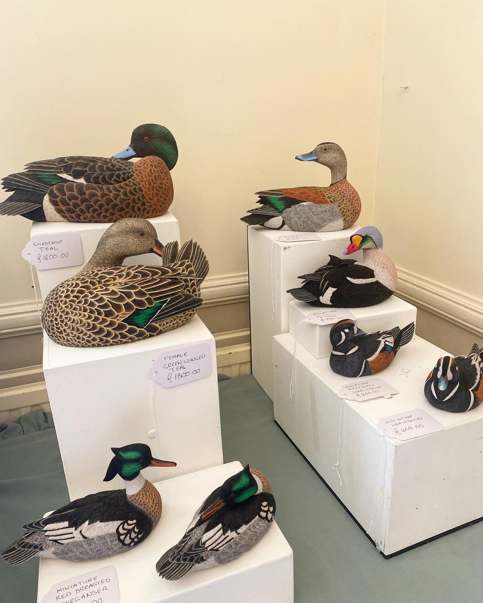 This week there are TWO #artistsinresidence

Jackie Garner is in the art studio, taking inspiration from rocks and fossils to create her acrylic, abstract works.

Philip Nelson will be in the museum building working on his highly detailed decorative duck decoys.

#natureinart