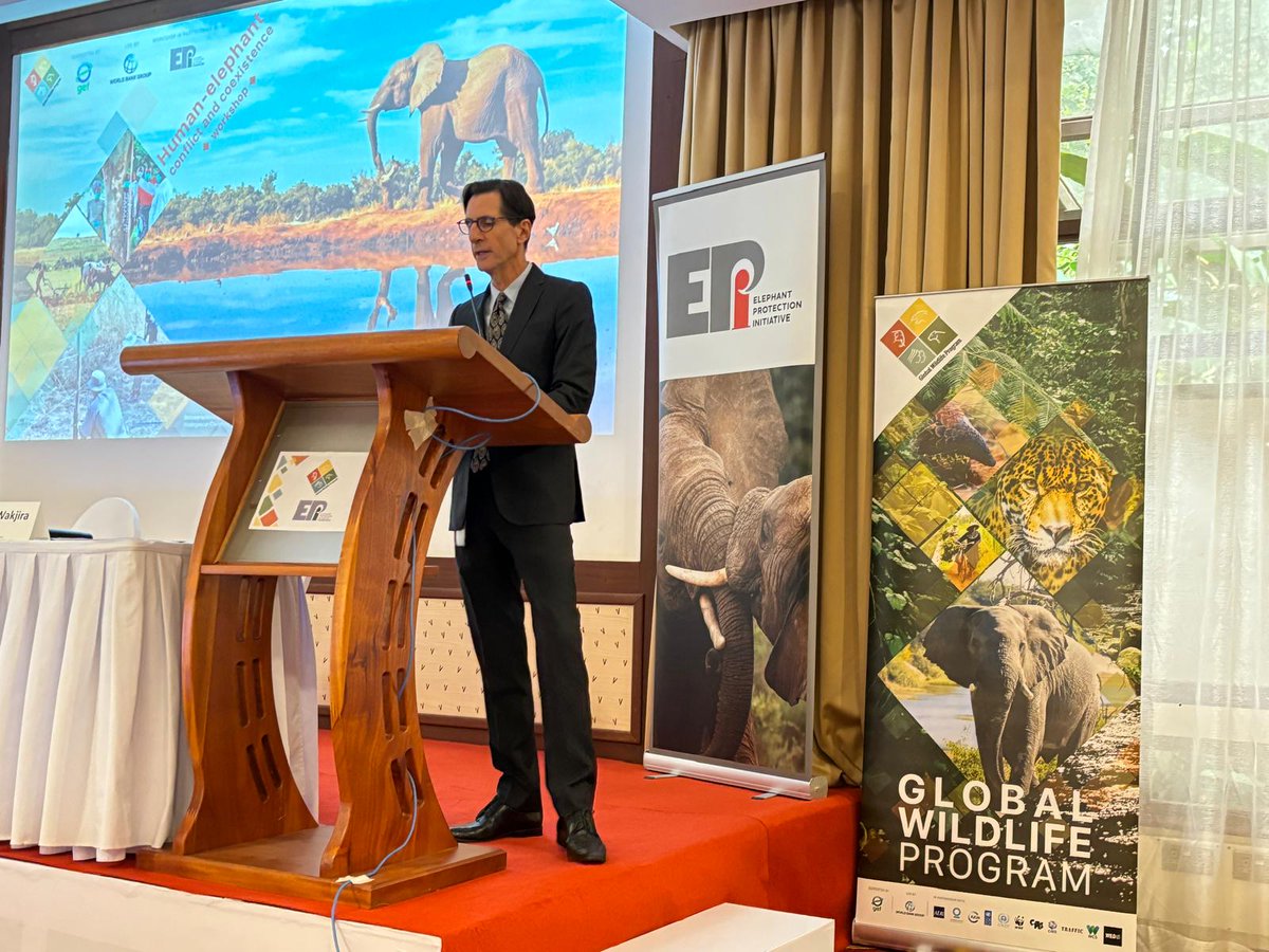 Honored to take part in the #Africa regional workshop on Human Elephant Conflict & Coexistence. @WorldBankAfrica has renewed its mission to end extreme poverty & boost shared prosperity on a livable planet. We're proud to be doing that today & through the Global Wildlife Program.