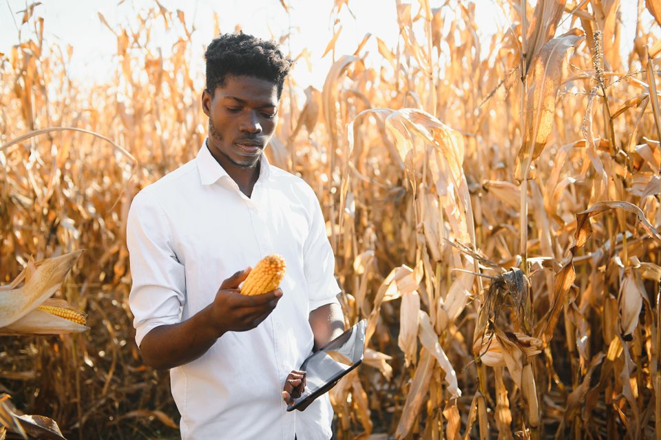 UNTechBank's tweet photo. The @UNTechBank is thrilled to join the discussion at @UN Headquarters on May 10, 13:15-14:30, featuring speakers from diverse backgrounds and expertise, exploring how to harness #innovation, #digitalization & #technology to enhance agricultural productivity in LDCs & LLDCs. 
Let's tackle food insecurity together! #STI #AgInnovation #SDGs 🌱🌍