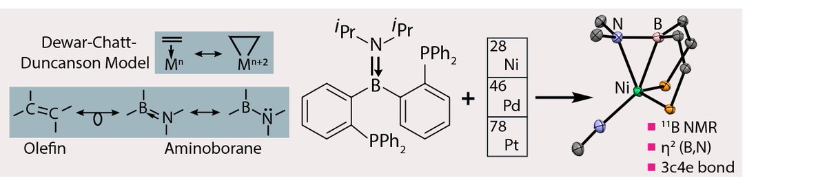 Aminoboranes (>B=N<) are polar analogues of olefins (>C=C<), but to they bind to metals in the same way? The #openaccess work of Martine Tiddens with @BramKappe and Tom Smak is now nicely typeset in @ChemEurJ! @ERC_Research @UU_ISCC @DeptChemUU @UUBeta …mistry-europe.onlinelibrary.wiley.com/doi/10.1002/ch…
