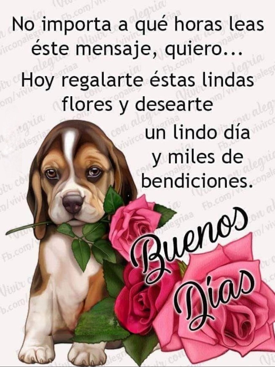 @MIBramajo @d_mhg @JacquelinSnch13 @ss_gladys @LMHH @Edward733 @LopezyValiente @MAGLORIAVILLEG1 @hada_protectora @ArlindoFerreir4 @lepetitportcord @norita3329 @ahinamendez @esedonluis64 @latiatt @Gladis_Ag @NievesAsensi @JLContrerasArt @Isabelmcuenca @AnidemPato @EmelindaPicadoG @EfrainBrreraAlv @bernardo_98364 @alex1869126097 @pgnora @hildamarcano39 @d_mhg2014 @CitraroTorres @saulastam @sanjay29599124 @XimPete @Nelidarojasb3 @PulidoSolange @anysogo @PONCHOAGOPLA @OmairaCorreo @Anauj_maces @steligarcia @kitty_sanrio1 @mamaruza78 @MaryGom31034524 @igsaGsanchez @GomezLuisE @FermnEstevez2 @AGMRedMylene @CarlosA98725897 @FERMN01924143 @Yleque @FrancMendez3 Buenos Días...