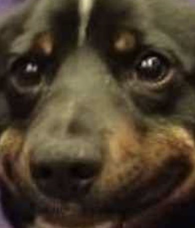 Happy 29th Birthday to <a href="/BeckyJxo/">Becky🐝</a> my best mate and the best sister anyone could ask for 🥳 sadly I ain’t got any recent pictures of us 😂