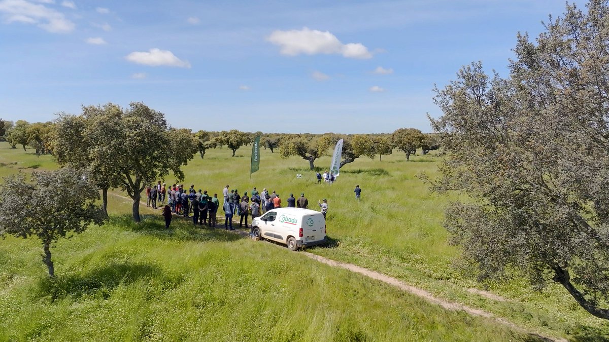 🌳¡Así están las praderas ganaderas de Cobadu y Fertiprado España en Salamanca!

Durante el recorrido, los expertos y ganaderos intercambiaron sus conocimientos sobre manejo sostenible y optimización de los cultivos de praderas, con un enfoque práctico y educativo.