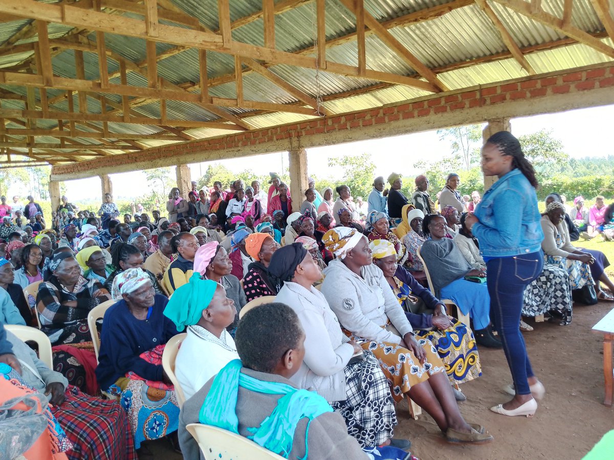 The heart of the program: empowering single and widowed women. Groups of 100 chicks per group will provide a sustainable source of income and improve their livelihoods. @MentorsTrack @SimeiValentine @ActionAid_Kenya @Muge_Cynthia #EmpoweringVulnerableWomen #EconomicInclusion