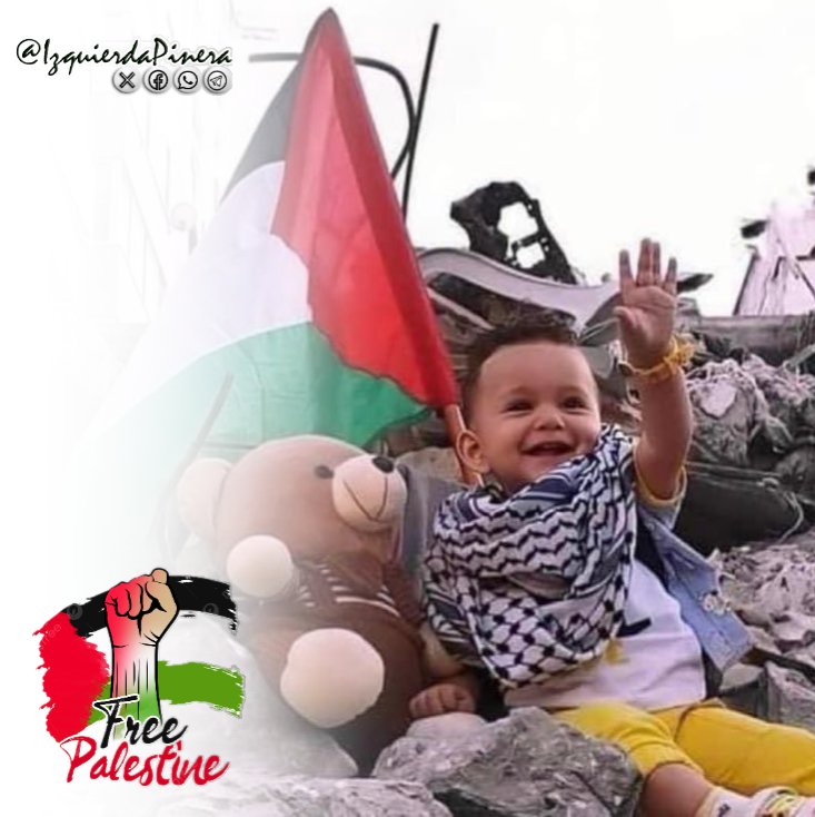 #Palestina 🇵🇸 no está sola. Su lucha es nuestra lucha. #FreePalestine