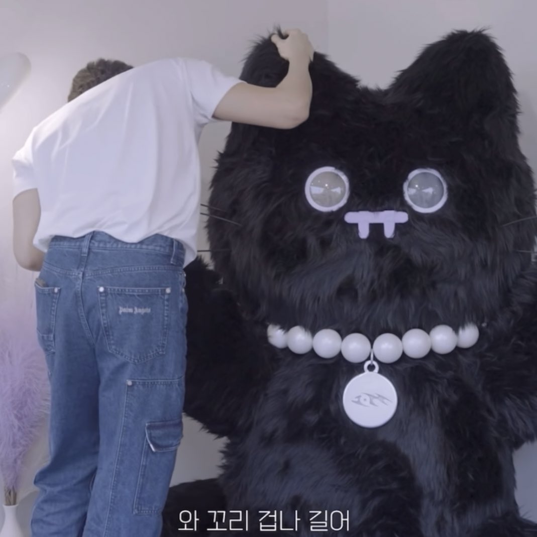 판타포도 tweet media