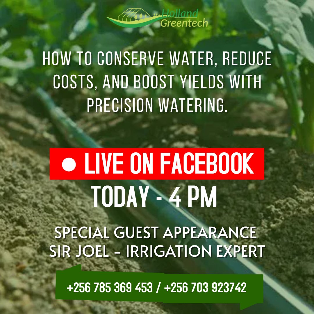 In this  episode of of our WEDNESDAY LIVE SESSIONS, we are focusing on how to conserve water, reduce costs and maximize yield through precision watering.
 #farming #farm #hollandgreentech #agriculture #irrigationtechnology #irrigationinnovation #smartirrigation #irrigation #agro